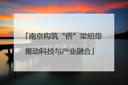 南京构筑“侨”梁纽带推动科技与产业融合