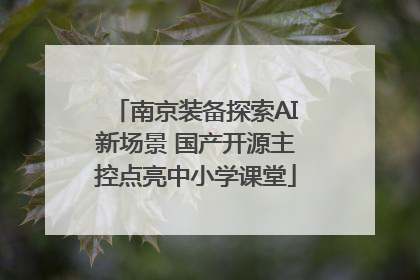 南京装备探索AI新场景 国产开源主控点亮中小学课堂