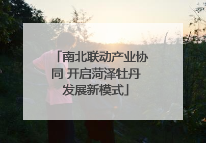 南北联动产业协同 开启菏泽牡丹发展新模式