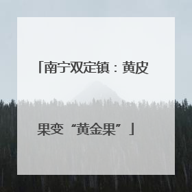 南宁双定镇：黄皮果变“黄金果”