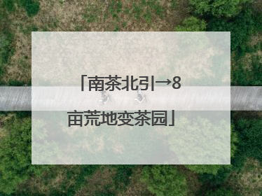 南茶北引→8亩荒地变茶园