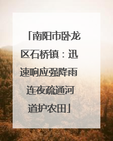 南阳市卧龙区石桥镇：迅速响应强降雨 连夜疏通河道护农田