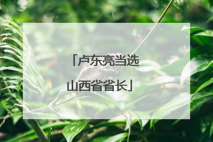 卢东亮当选山西省省长