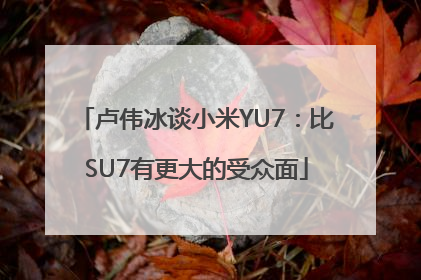 卢伟冰谈小米YU7：比SU7有更大的受众面