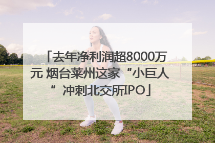 去年净利润超8000万元 烟台莱州这家“小巨人”冲刺北交所IPO