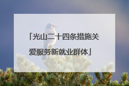 光山二十四条措施关爱服务新就业群体