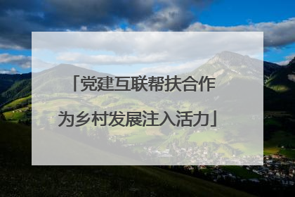 党建互联帮扶合作 为乡村发展注入活力