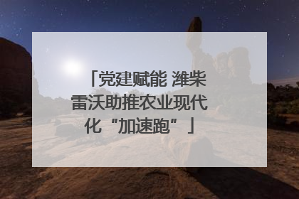 党建赋能 潍柴雷沃助推农业现代化“加速跑”