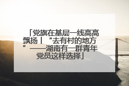 党旗在基层一线高高飘扬丨“去有村的地方”——湖南有一群青年党员这样选择