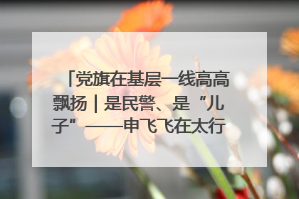 党旗在基层一线高高飘扬｜是民警、是“儿子”——申飞飞在太行山中的一线坚守