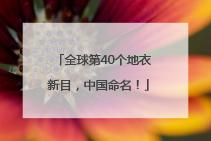 全球第40个地衣新目，中国命名！