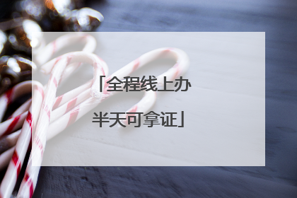 全程线上办 半天可拿证