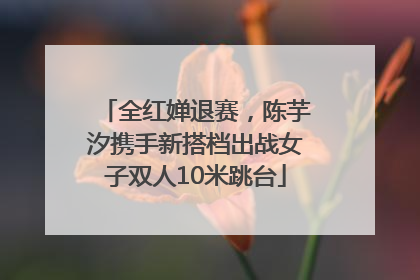 全红婵退赛，陈芋汐携手新搭档出战女子双人10米跳台