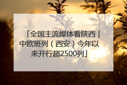 全国主流媒体看陕西｜中欧班列（西安）今年以来开行超2500列