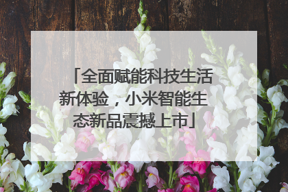 全面赋能科技生活新体验，小米智能生态新品震撼上市