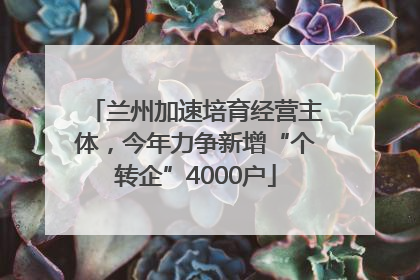 兰州加速培育经营主体，今年力争新增“个转企”4000户