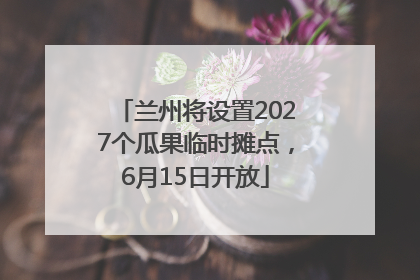 兰州将设置2027个瓜果临时摊点，6月15日开放