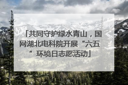 共同守护绿水青山，国网湖北电科院开展“六五”环境日志愿活动