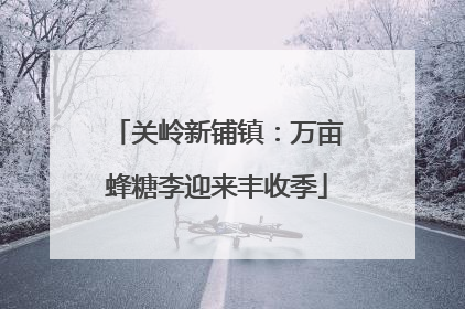 关岭新铺镇：万亩蜂糖李迎来丰收季