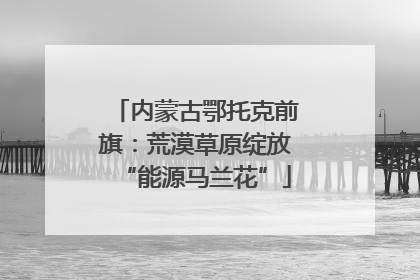 内蒙古鄂托克前旗：荒漠草原绽放“能源马兰花”