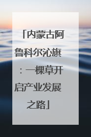 内蒙古阿鲁科尔沁旗：一棵草开启产业发展之路