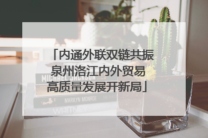 内通外联双链共振 泉州洛江内外贸易高质量发展开新局