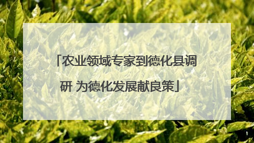农业领域专家到德化县调研 为德化发展献良策