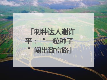 制种达人谢许平：“一粒种子”闯出致富路