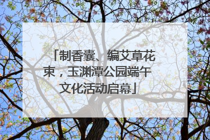 制香囊、编艾草花束，玉渊潭公园端午文化活动启幕