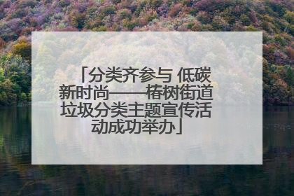 分类齐参与 低碳新时尚——椿树街道垃圾分类主题宣传活动成功举办