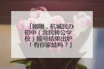 刚刚，杭城民办初中（含民转公学校）摇号结果出炉！有你家娃吗？