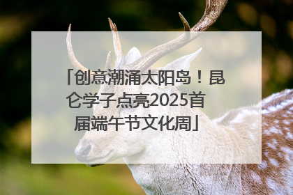 创意潮涌太阳岛！昆仑学子点亮2025首届端午节文化周