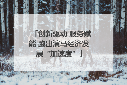 创新驱动 服务赋能 跑出演马经济发展“加速度”