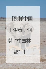 别样中国丨伊春，何以“中国林都”
