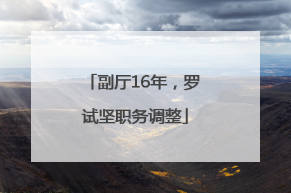 副厅16年，罗试坚职务调整