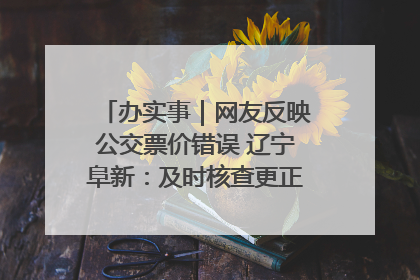 办实事｜网友反映公交票价错误 辽宁阜新：及时核查更正 加强实时巡检