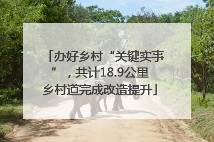 办好乡村“关键实事”，共计18.9公里乡村道完成改造提升