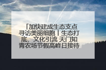 加快建成生态支点 寻访美丽细胞丨生态打底、文化引流 天门知青农场节假高峰日接待游客2万人次