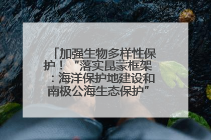加强生物多样性保护！“落实昆蒙框架：海洋保护地建设和南极公海生态保护”主题论坛将举办