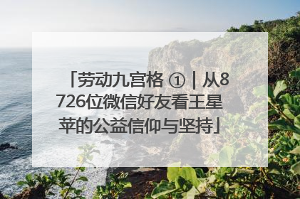 劳动九宫格 ①｜从8726位微信好友看王星苹的公益信仰与坚持