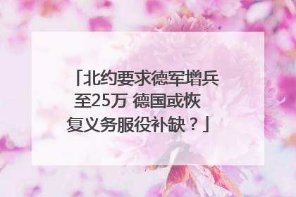 北约要求德军增兵至25万 德国或恢复义务服役补缺？