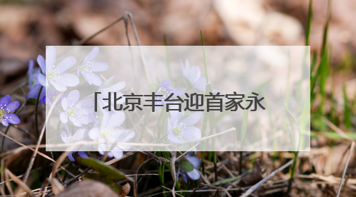 北京丰台迎首家永辉版“胖东来”