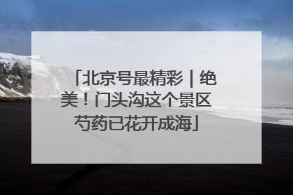 北京号最精彩｜绝美！门头沟这个景区芍药已花开成海