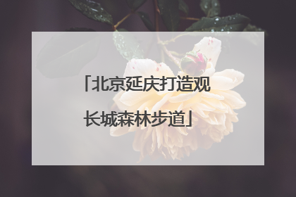 北京延庆打造观长城森林步道