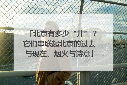 北京有多少“井”？它们串联起北京的过去与现在、烟火与诗意