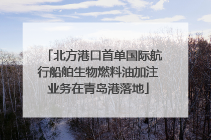 北方港口首单国际航行船舶生物燃料油加注业务在青岛港落地