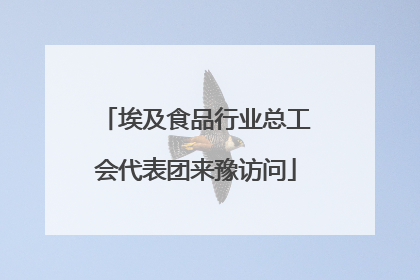 埃及食品行业总工会代表团来豫访问