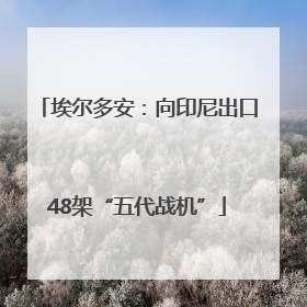 埃尔多安：向印尼出口48架“五代战机”