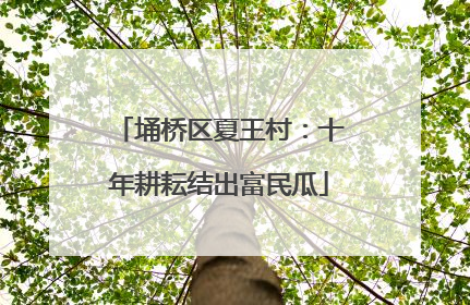 埇桥区夏王村：十年耕耘结出富民瓜