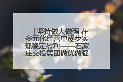 坚持做大做强 在多元化经营中逐步实现稳定盈利——石家庄交投集团做优做强典型报道之三